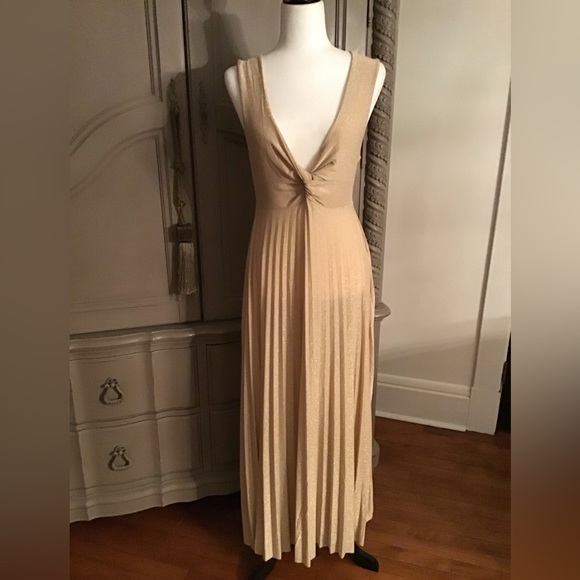 Giorgia Giannini Dresses & Skirts - NWT Giorgia Giannini Twisted Front Gown